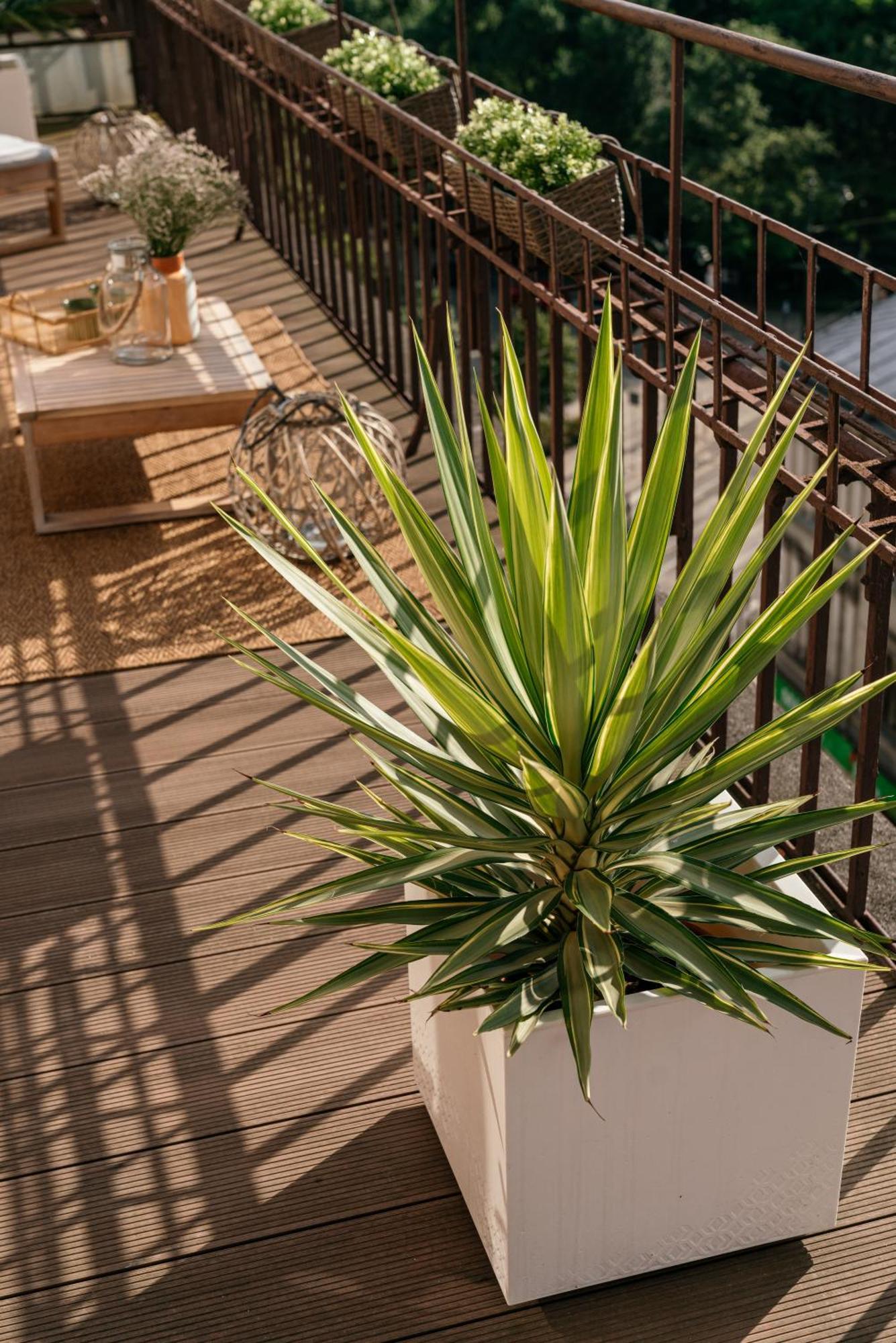 Appartement Penthouse Panorama - Loftaffair *